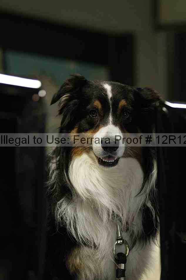 Proof 12r12_8101