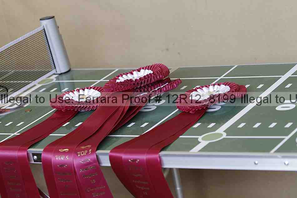 Proof 12r12_8199