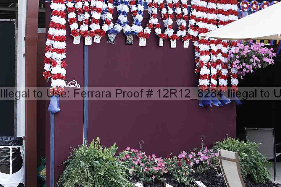 Proof 12r12_8284