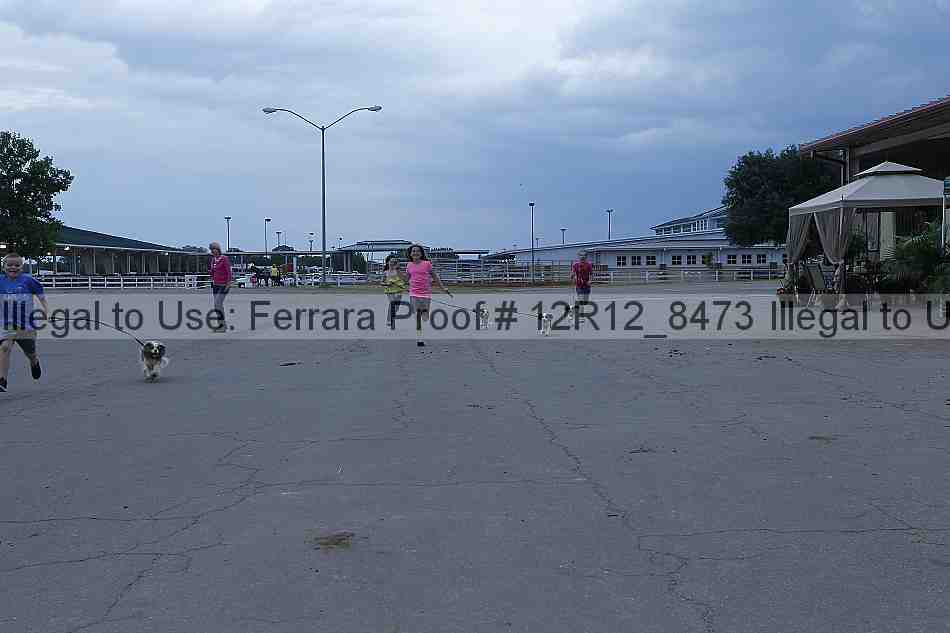 Proof 12r12_8473