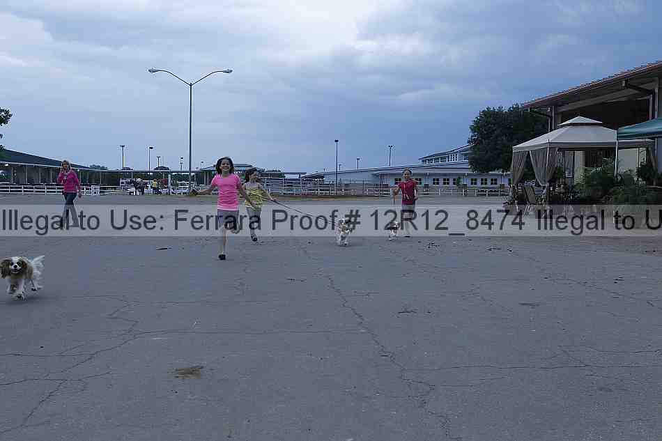 Proof 12r12_8474