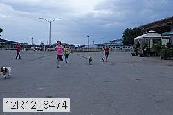 12r12_8474 proof