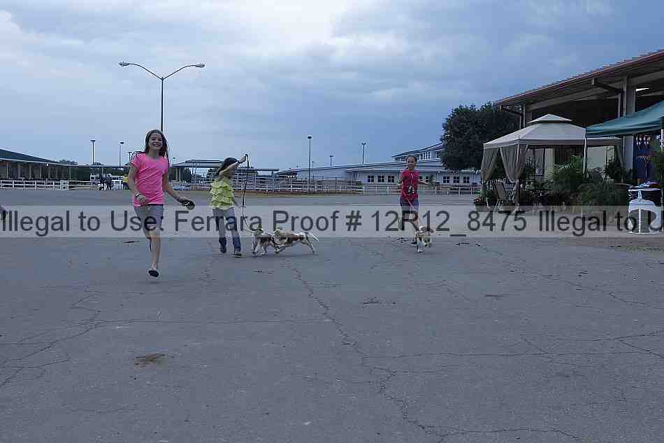 Proof 12r12_8475