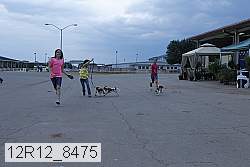 12r12_8475 proof