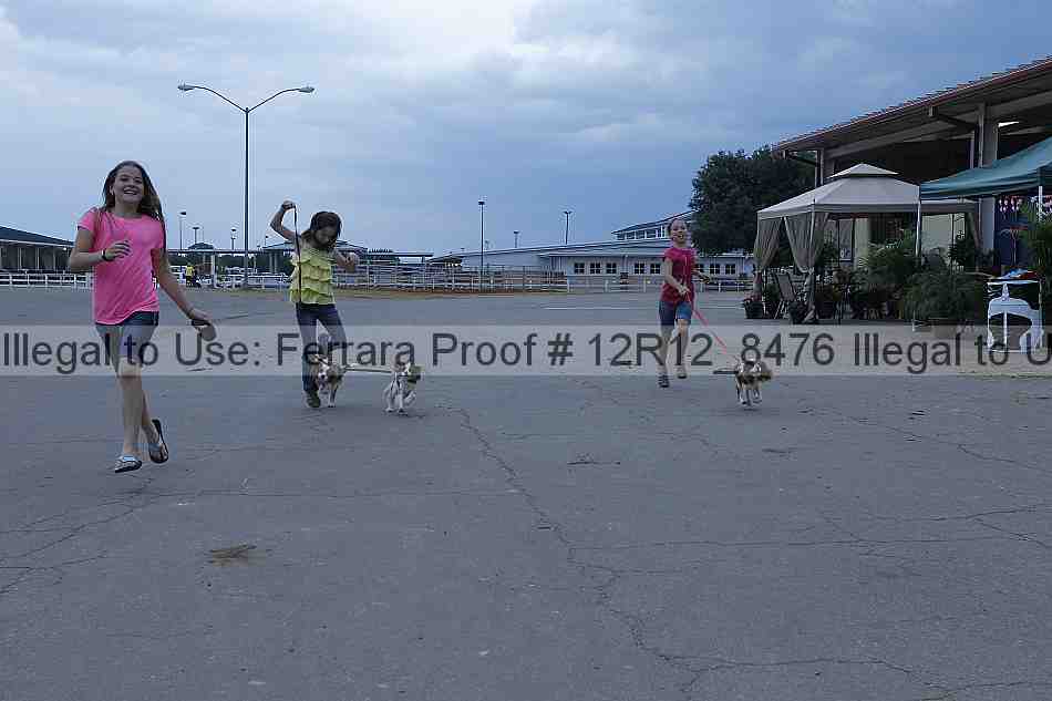 Proof 12r12_8476