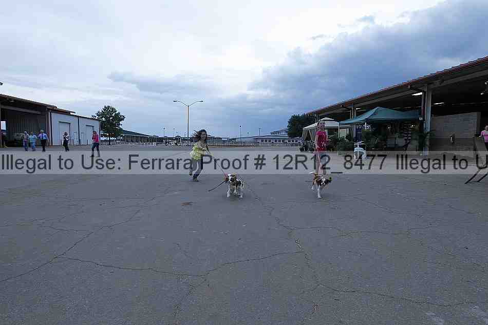 Proof 12r12_8477