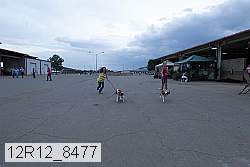 12r12_8477 proof