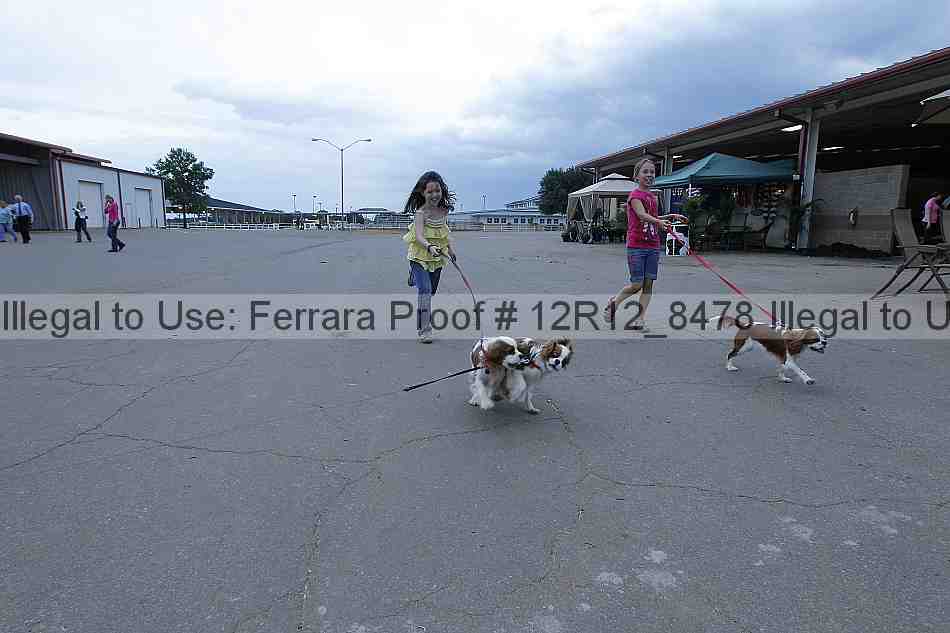 Proof 12r12_8478