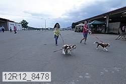 12r12_8478 proof