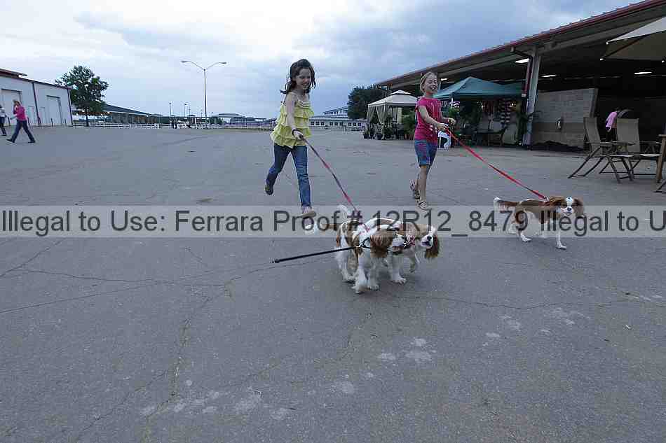 Proof 12r12_8479
