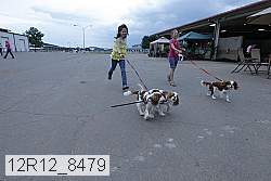 12r12_8479 proof