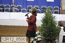 12r12_8500 proof
