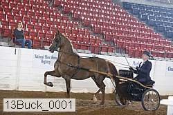 13buck_0001 proof