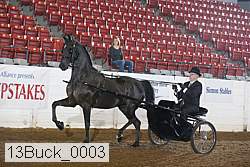 13buck_0003 proof