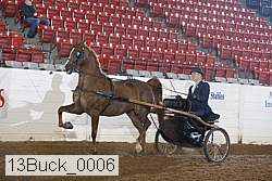 13buck_0006 proof