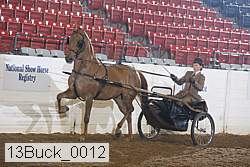 13buck_0012 proof