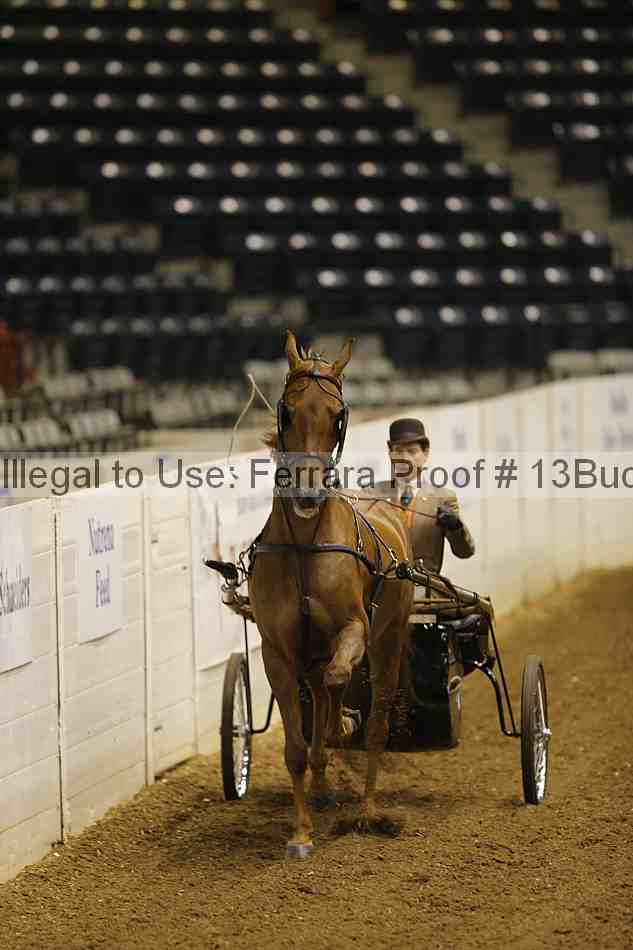 Proof 13buck_0015