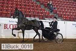 13buck_0016 proof