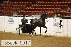 13buck_0017 proof