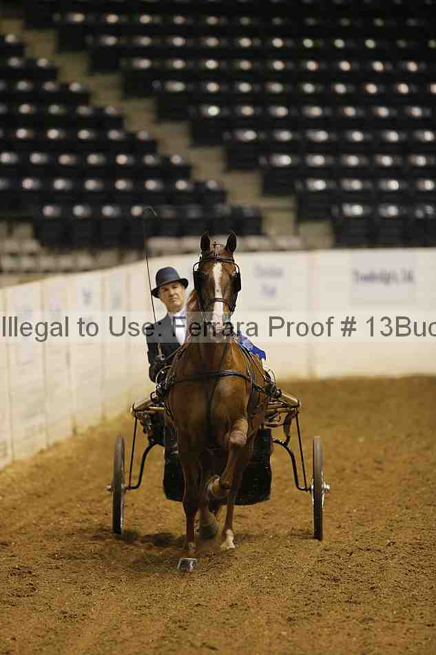 Proof 13buck_0020