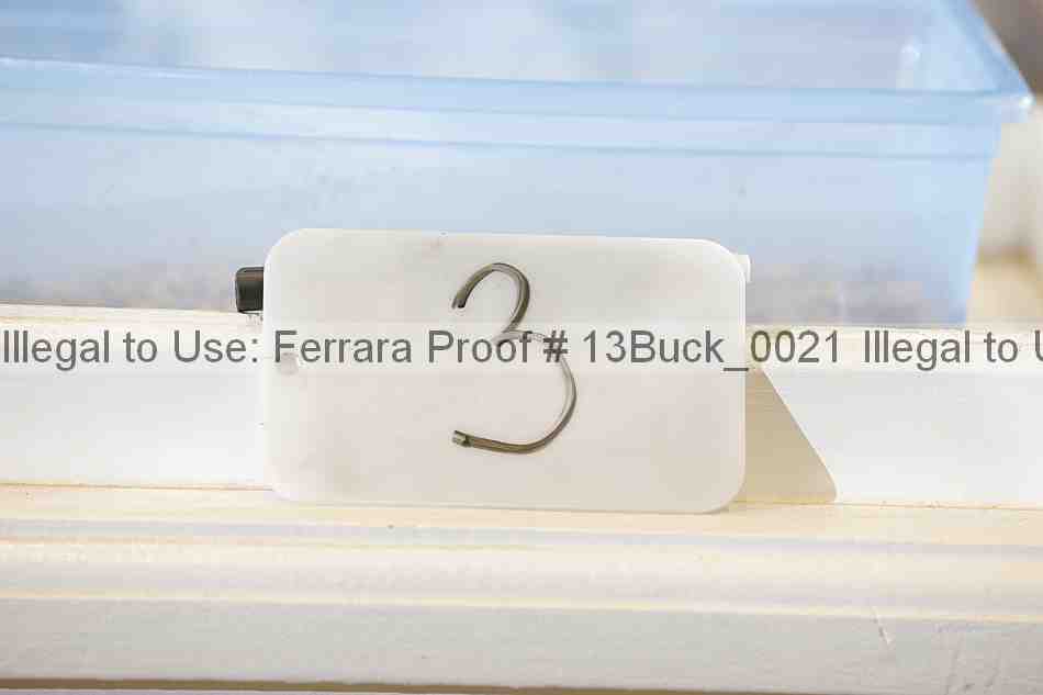 Proof 13buck_0021