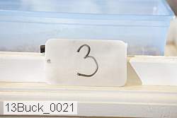 13buck_0021 proof
