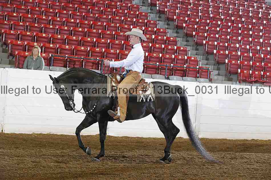 Proof 13buck_0031