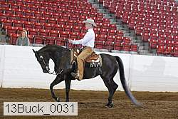 13buck_0031 proof