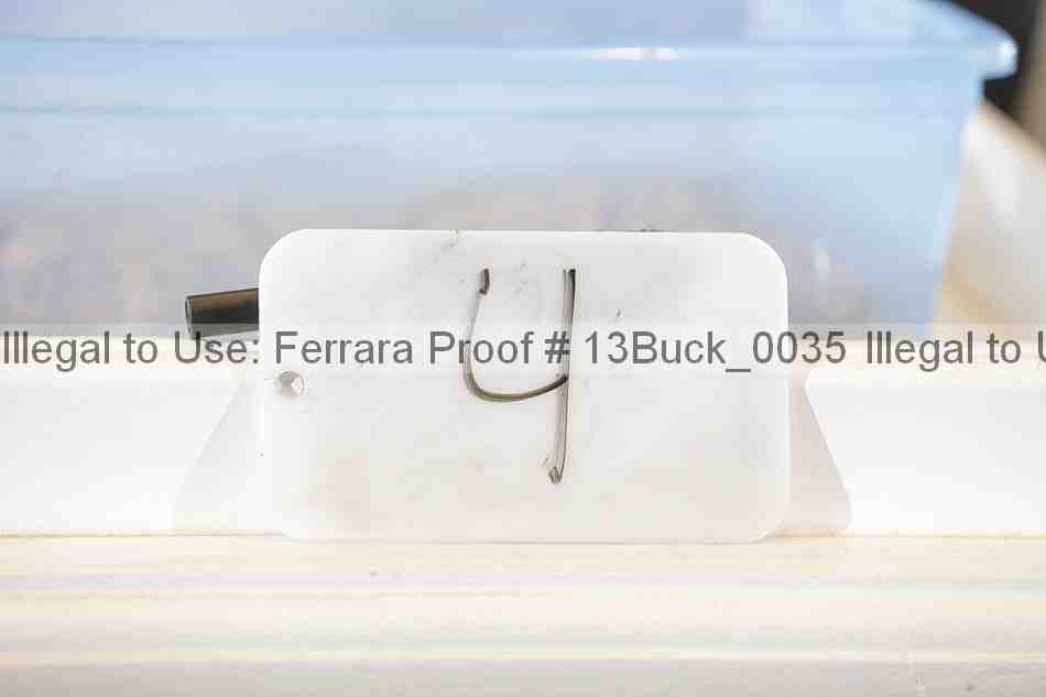 Proof 13buck_0035