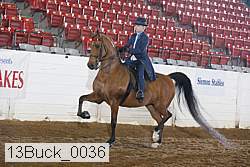 13buck_0036 proof