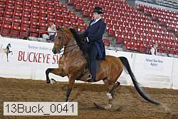 13buck_0041 proof