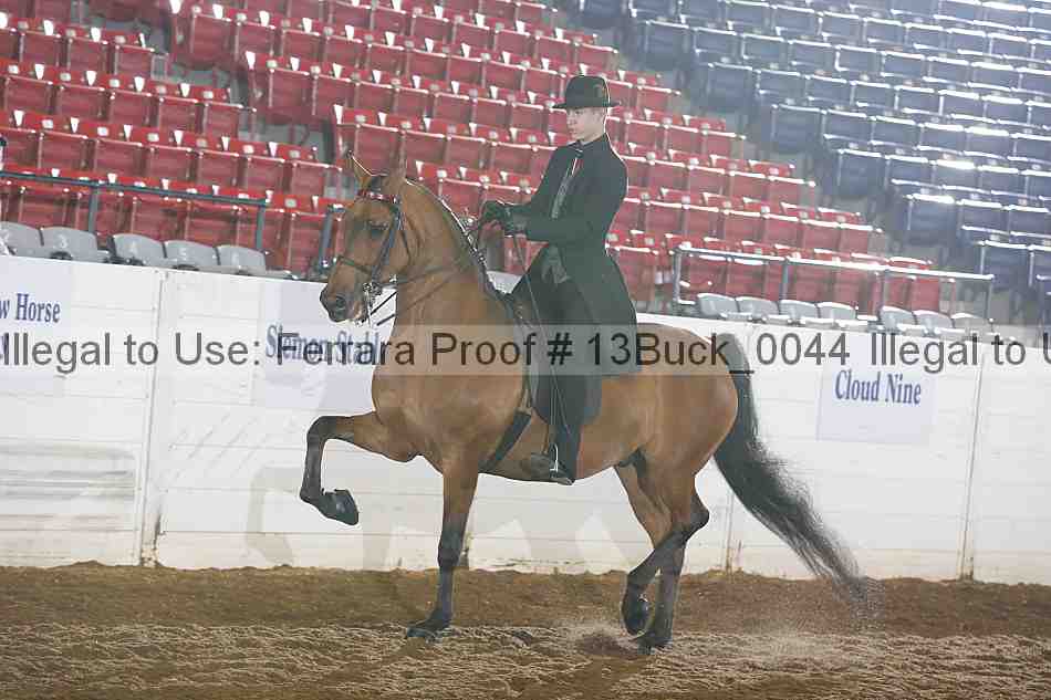 Proof 13buck_0044