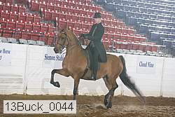 13buck_0044 proof