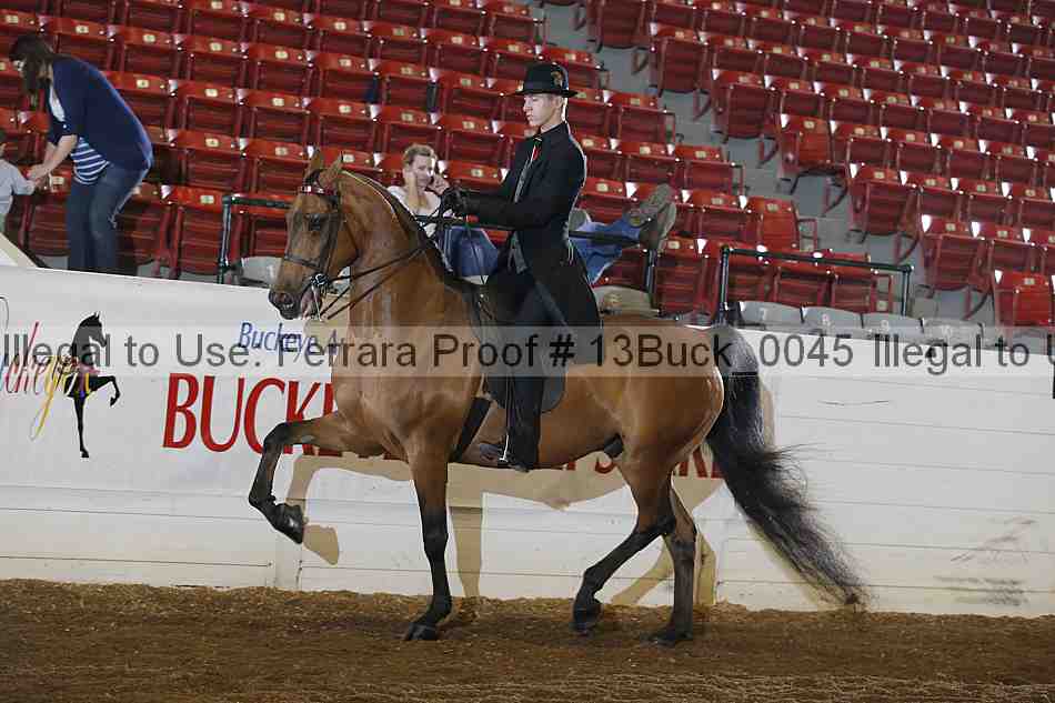 Proof 13buck_0045