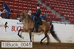 13buck_0045 proof
