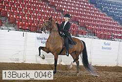 13buck_0046 proof