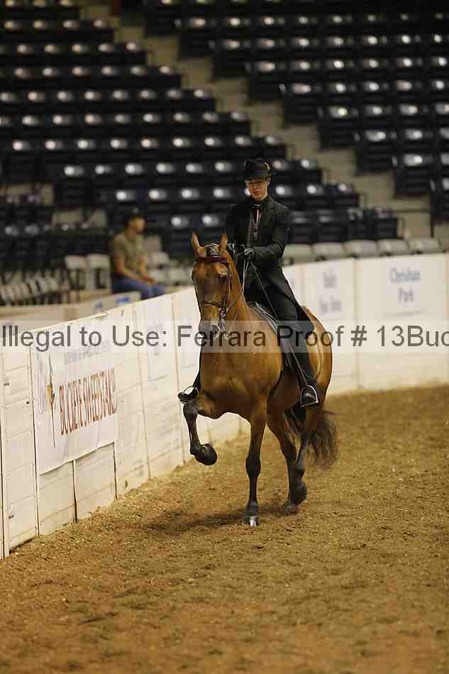 Proof 13buck_0047