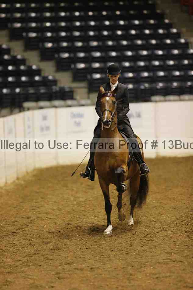 Proof 13buck_0049