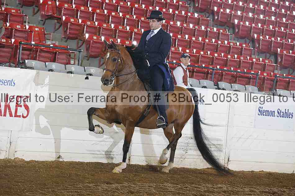Proof 13buck_0053