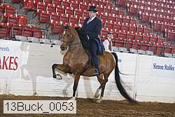 13buck_0053 proof