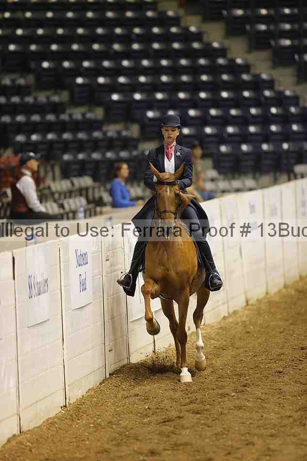 Proof 13buck_0054