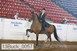 13buck_0057 proof