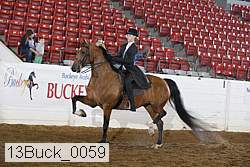 13buck_0059 proof