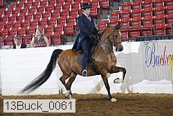 13buck_0061 proof