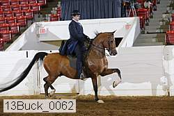 13buck_0062 proof