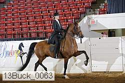 13buck_0063 proof