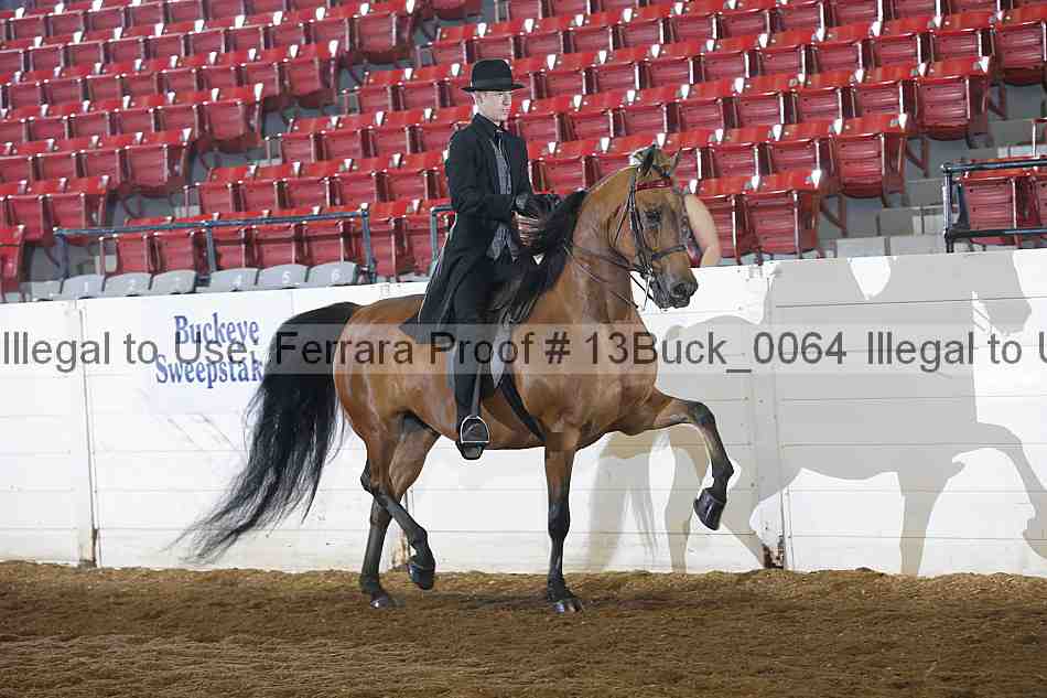 Proof 13buck_0064