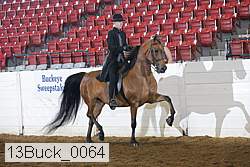13buck_0064 proof