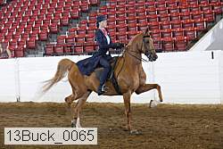 13buck_0065 proof