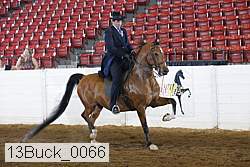 13buck_0066 proof